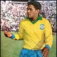 Manuel Francisco dos Santos (Garrincha)