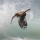 Skimming