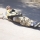 Street luge