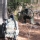 Airsoft