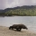 Parque Nacional de Komodo