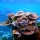 Gran Barrera de Coral