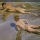 Ni�os en la playa (Sorolla)