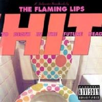 The Flaming Lips - Hit to Death in the Future Head