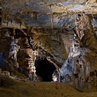 Zigoitia
