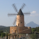 Calvi�