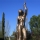 Armilla