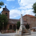 Alovera