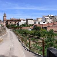 Bergasa