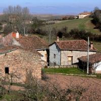Estollo