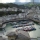Navia
