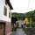 Tineo