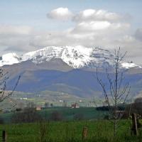 Saro