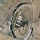 Lowe�s Motor Speedway