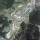 N�rburgring
