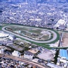 Hanshin Racecourse