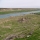 Río Éufrates