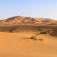 Desierto Australiano