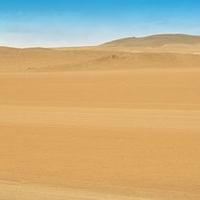 Desierto Arábigo