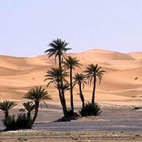 Desierto Victoria