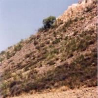 Desierto del Taklamakán