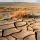 Desierto de Sonora