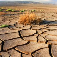 Desierto de Sonora