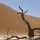 Desierto Kara-Kum