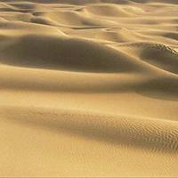 Desierto Thar
