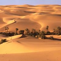 Desierto Kyzyl Kum