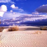 Desierto de Gibson