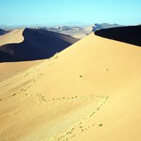 Desierto de Simpson