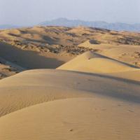 Desierto de Mojave