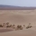 Desierto de Lut (Dasht-e Lut)