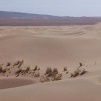 Desierto de Lut (Dasht-e Lut)