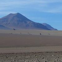 Desierto de Néguev