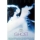 Ghost: m�s all� del amor