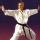 Artes marciales (judo, k�rate...)
