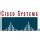 Cisco Systems