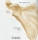 Om�plato