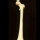 Hueso F�mur