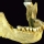 Maxilar Inferior (mand�bula)