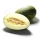 Muskmelon