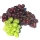 Grape (fruit)