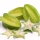 Carambola (starfruit)