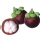 Purple Mangosteen