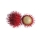 Rambutan