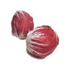 Achicoria