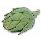 Alcachofa