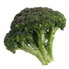 Brécol (broccoli)